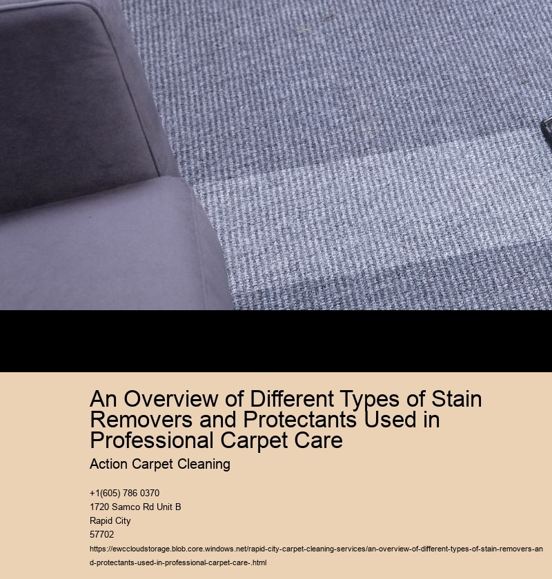 An Overview of Different Types of Stain Removers and Protectants Used in Professional Carpet Care 