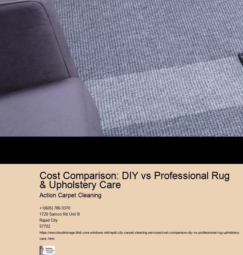 Cost Comparison: DIY vs Professional Rug & Upholstery Care    
