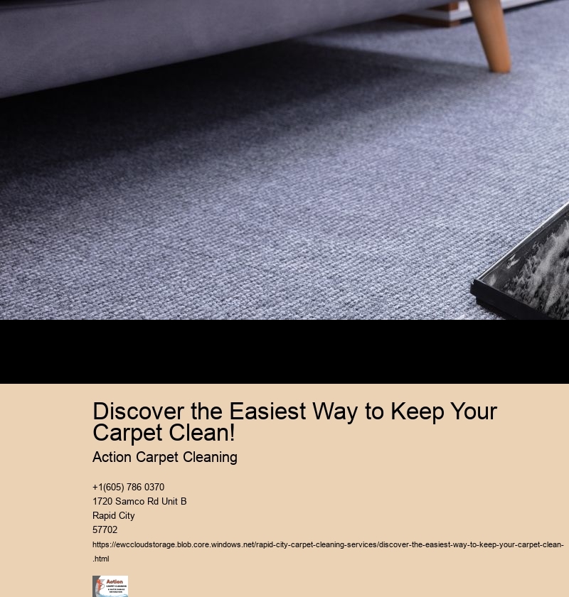 Discover the Easiest Way to Keep Your Carpet Clean! 