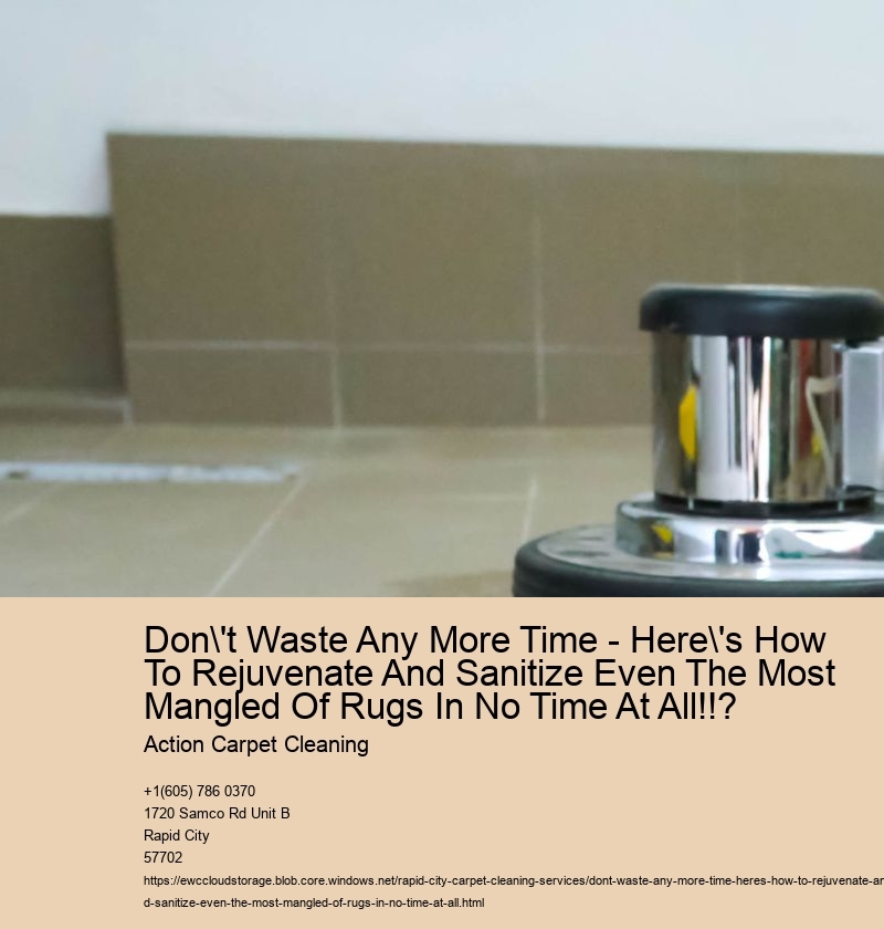 Don't Waste Any More Time - Here's How To Rejuvenate And Sanitize Even The Most Mangled Of Rugs In No Time At All!!?