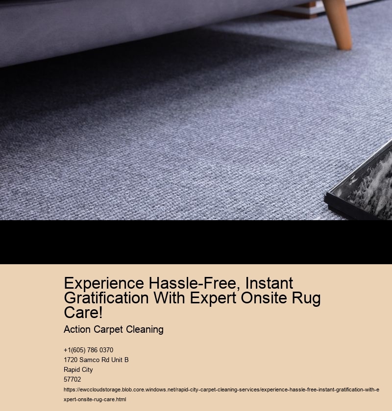Experience Hassle-Free, Instant Gratification With Expert Onsite Rug Care!