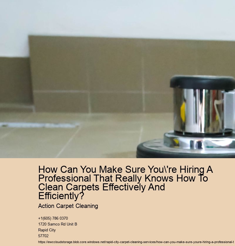 How Can You Make Sure You're Hiring A Professional That Really Knows How To Clean Carpets Effectively And Efficiently?