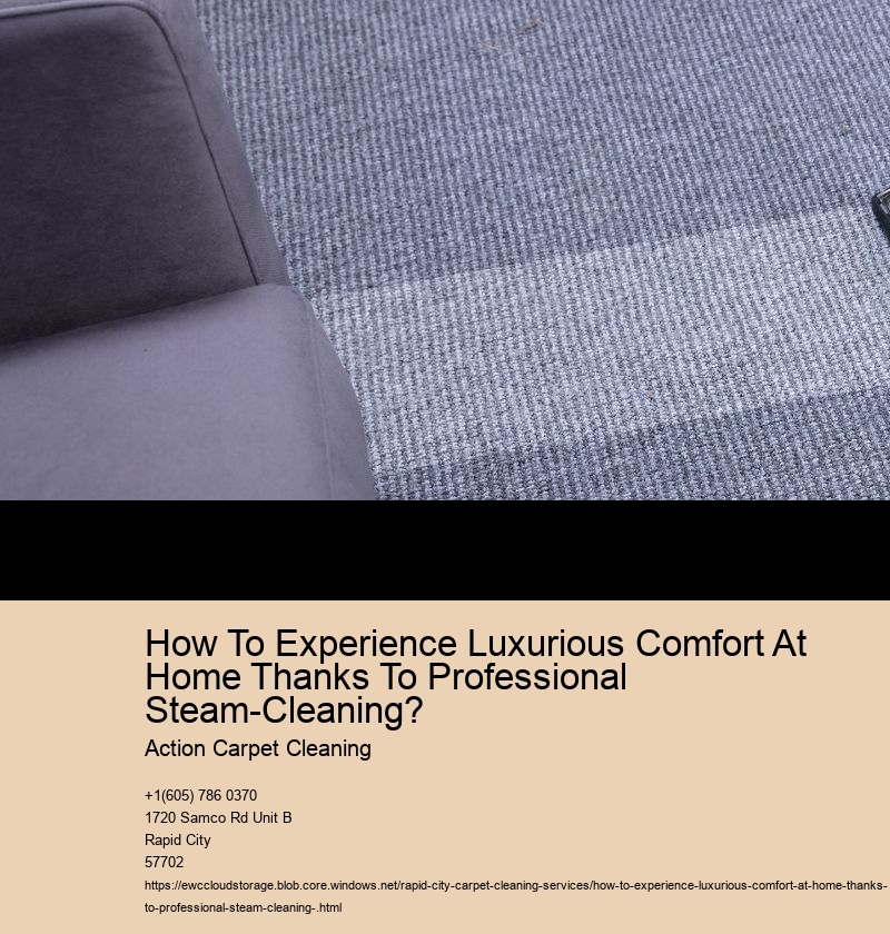 How To Experience Luxurious Comfort At Home Thanks To Professional Steam-Cleaning?  