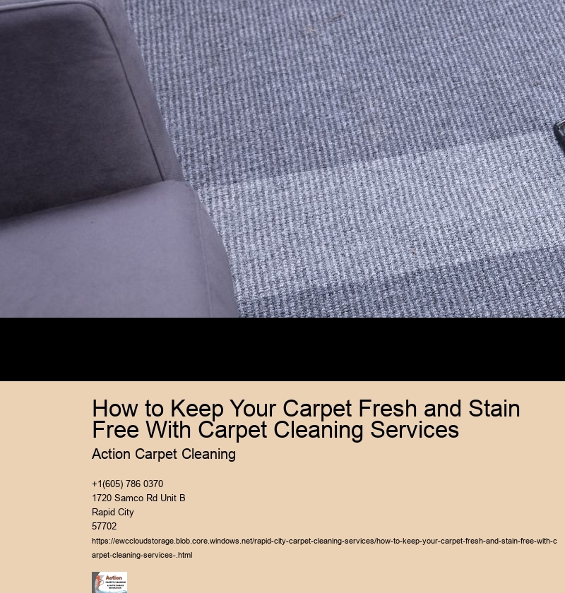 How to Keep Your Carpet Fresh and Stain Free With Carpet Cleaning Services 