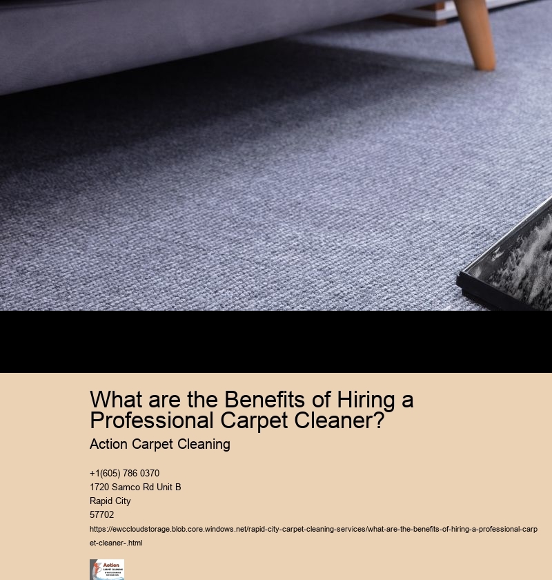 What are the Benefits of Hiring a Professional Carpet Cleaner? 