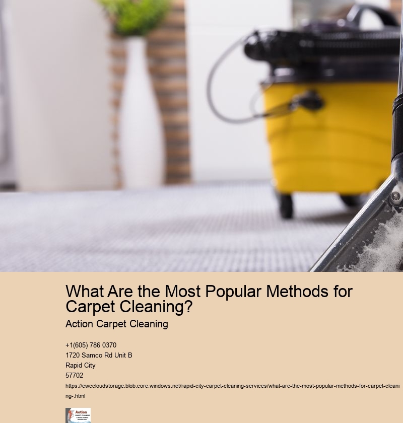 What Are the Most Popular Methods for Carpet Cleaning? 