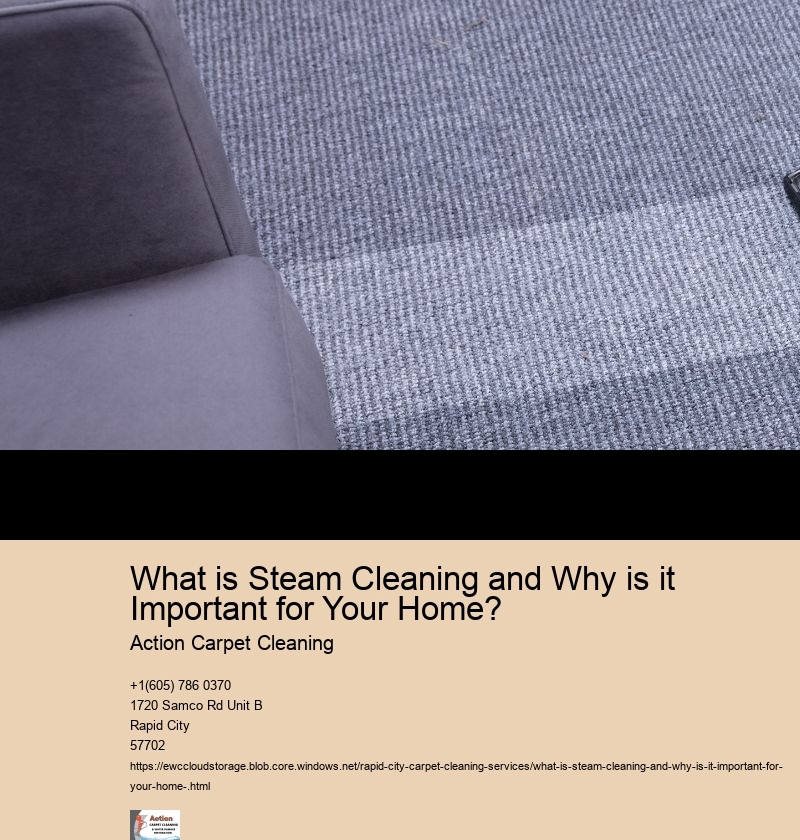 What is Steam Cleaning and Why is it Important for Your Home?  