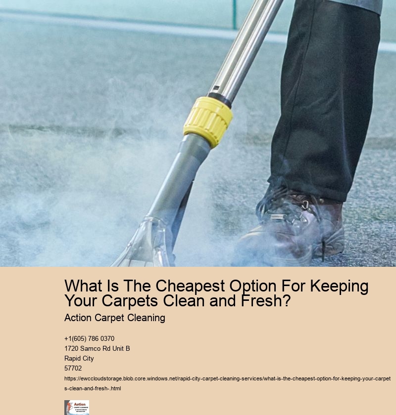 What Is The Cheapest Option For Keeping Your Carpets Clean and Fresh? 