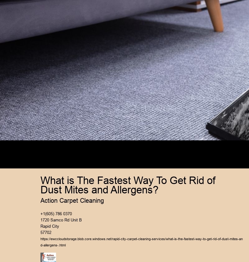 What is The Fastest Way To Get Rid of Dust Mites and Allergens? 