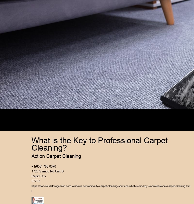What is the Key to Professional Carpet Cleaning?