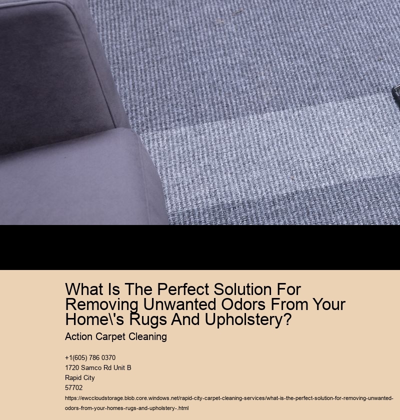 What Is The Perfect Solution For Removing Unwanted Odors From Your Home's Rugs And Upholstery?  