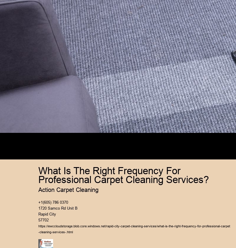 What Is The Right Frequency For Professional Carpet Cleaning Services? 
